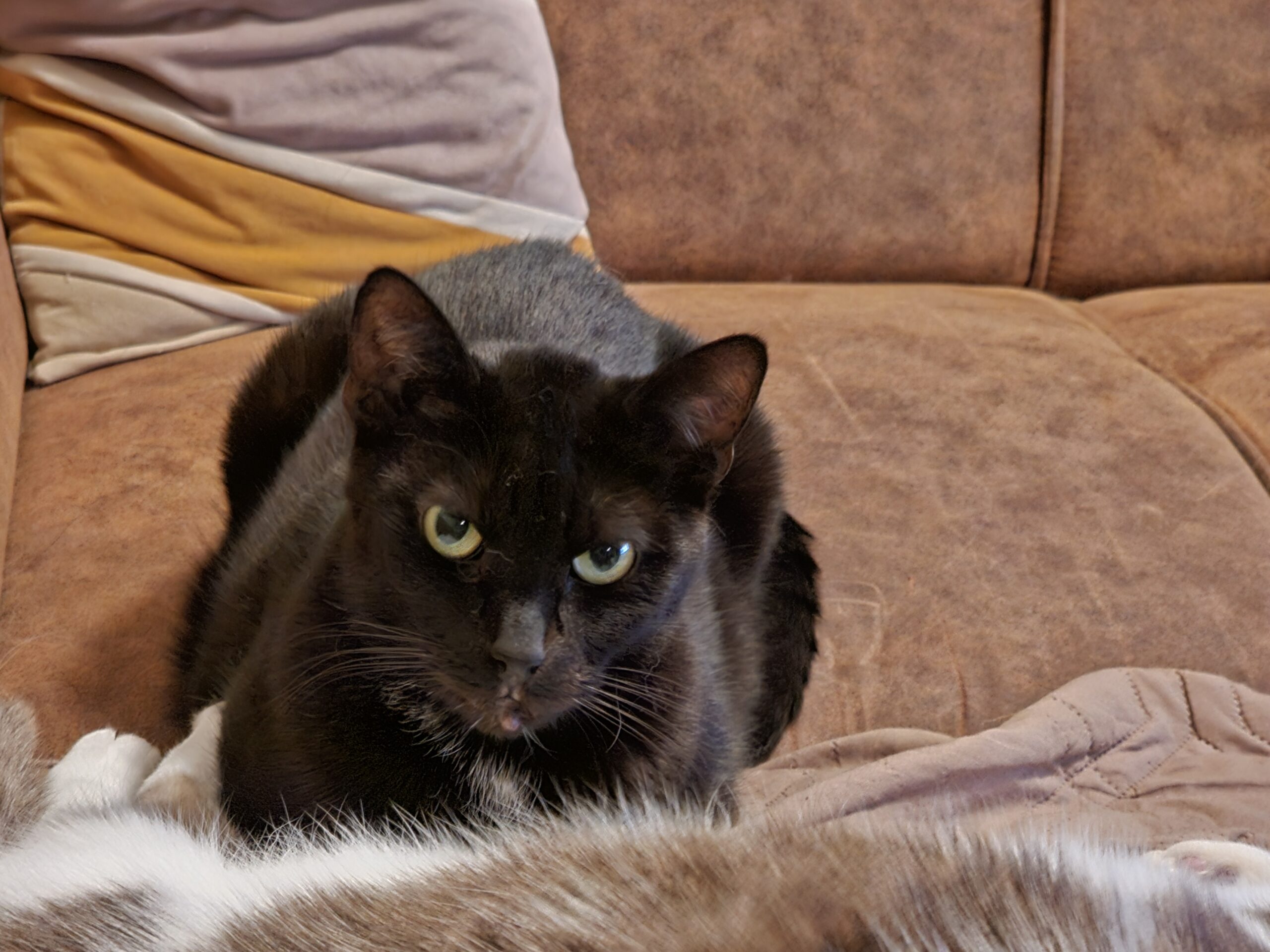 Kees Floortje (5)